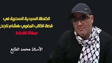 صورة الخلطة السردية السحرية في قصة الكاتب المغربي هشام ناجح: ( مملكة القطط )