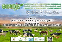 صورة الجديدة على موعد مع حدث دولي كبير سيدي علي بن حمدوش تحتضن النسخة الثالثة من المعرض الدولي لتربية المواشي والفلاحة من 14 إلى 16 ماي 2026 تحت شعار: “تأهيل القطيع والأمن الغذائي”