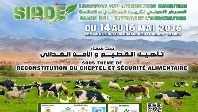 صورة الجديدة على موعد مع حدث دولي كبير سيدي علي بن حمدوش تحتضن النسخة الثالثة من المعرض الدولي لتربية المواشي والفلاحة من 14 إلى 16 ماي 2026 تحت شعار: “تأهيل القطيع والأمن الغذائي”