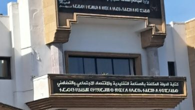 صورة نقابتا الصناعة التقليدية وموظفي الغرف المهنية تلتمسان إعادة إحداث وزارة مستقلة للصناعة التقليدية والاقتصاد الاجتماعي والتضامني .